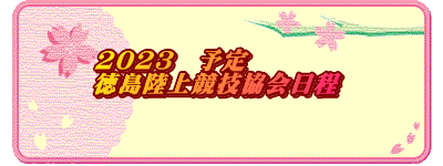 2023@\ ㋣Z  