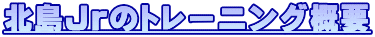 kJr̃g[jOTv